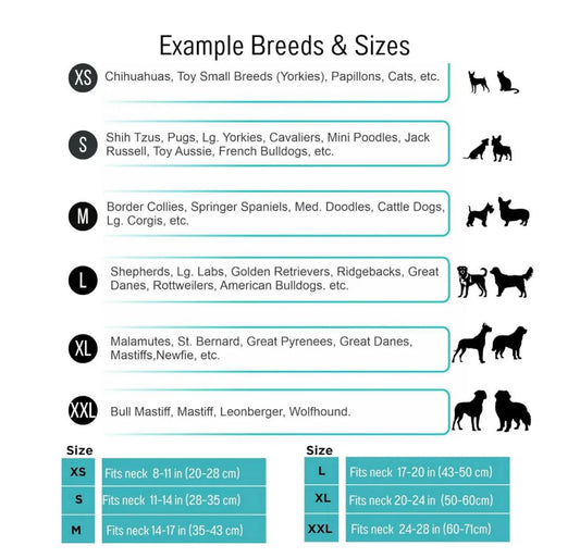 Paw Promise: Matching Friendship Bracelet